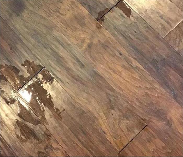 A picture of wooden flooring with water coming through the cracks.