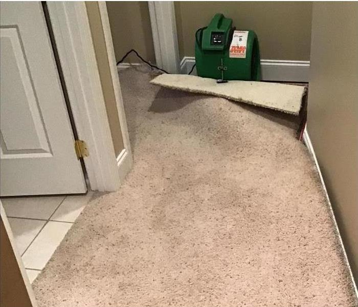 A picture of an air mover under carpeting, drying out water damage.